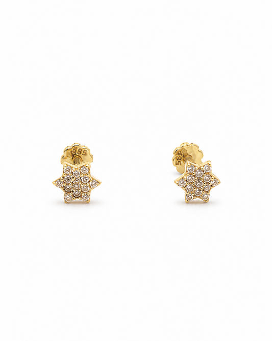 Broquel estrella con circonias  14k N10125